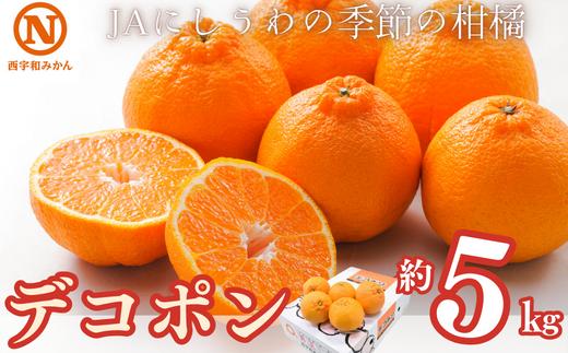 
            JAにしうわの季節の柑橘(デコポン 約5kg　化粧箱)＜F08-8＞【1474244】
          