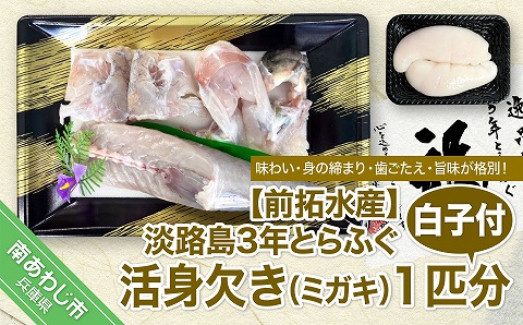 淡路島3年とらふぐ　活身欠き【ミガキ・１匹分】白子付◆配送1月7日～2月28日