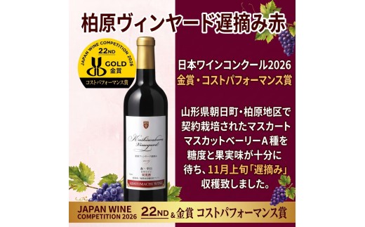 日本ワインコンクール金賞・銀賞 ワイン 赤 2本 セット 朝日町ワイン 720ml 山形 山形県 朝日町 お酒 送料無料
