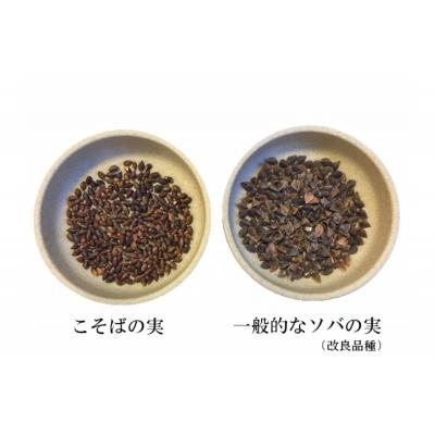 ふるさと納税 妙高市 妙高こそば×4人前 妙高田舎蕎麦×2人前 計6人前セット |  | 02