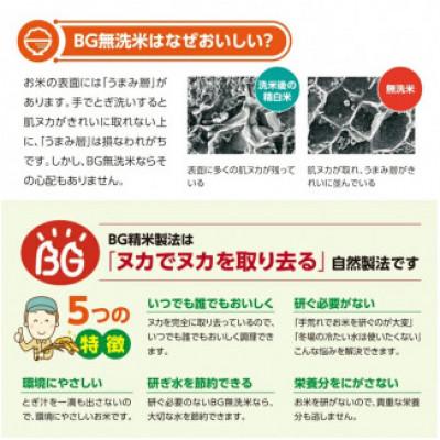 ふるさと納税 酒田市 【令和7年産】無洗米 はえぬき　5kg×2袋 |  | 03