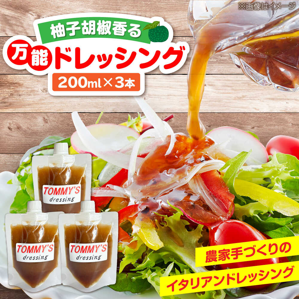 【ふるさと納税】農家の作る！特製万能ドレッシング「TOMMY'S dressing」 200ml×3本 《豊前市》【田村農産】[VBE014] ドレッシング 玉ねぎ 小袋 小分け 国産 サラダドレッシング 人気