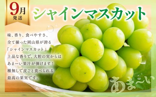 【2027年発送】【定期便】岡山の白桃とシャインマスカット２回お届け（令和9年8月下旬～9月下旬頃発送）【岡山県産 桃 白桃 ぶどう 葡萄 シャインマスカット 2回 フルーツ 果物 くだもの デザート