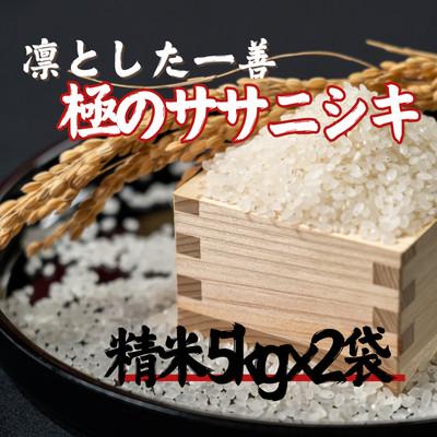 ふるさと納税 新庄市 令和7年 極みのササニシキ(精米)10kg(5kg×2個)