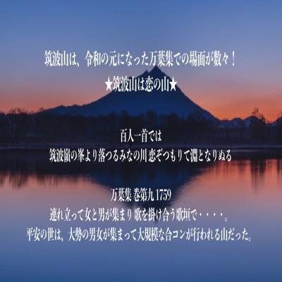 ふるさと納税 茨城県 筑波山麓産 食べ比べ3種セット(あきたこまち・ひとめぼれ・ふくまる)各5kg 計15kg |  | 01