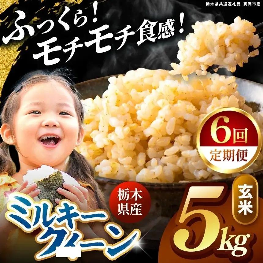 【定期便6回】栃木県産 ミルキークイーン 玄米 5kg 2026年  新米 | 栃木県 矢板市