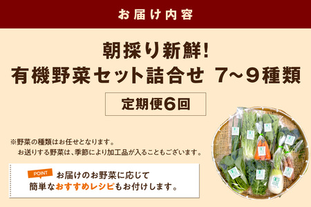 朝採り新鮮！有機野菜セット詰合せ（7～9種類）6回コース【定期便】 定期便 採れたて 産地直送 葉物 有機JAS認証 野菜セット 旬の野菜 野菜【139_1920】