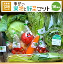 【ふるさと納税】【定期便 12回コース】 季節の果物野菜セット 16品目 毎月1回 計12回 定期便 フルーツ ベジタブル 詰め合わせ 新鮮 国産 九州産 熊本県産 送料無料