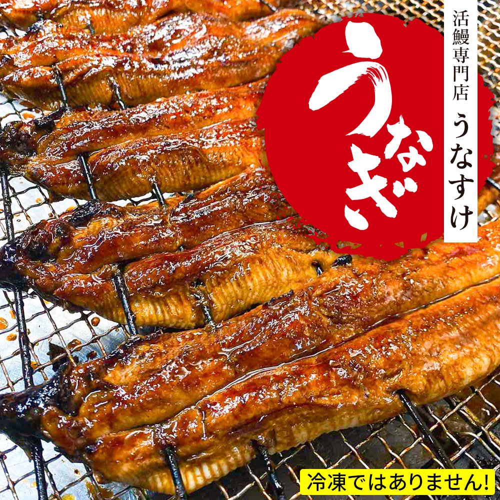 国産うなぎ蒲焼き (3匹)｜名店 鰻 ウナギ うな丼 鰻丼 冷蔵 クール便 ひつまぶし 丑の日 簡単調理 [0852]