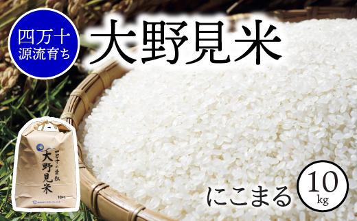 
            【 四万十源流 育ち 】特別栽培 大野見米 にこまる 10kg ( 白米 ) ご飯 米 お米 にこまる 四万十
          