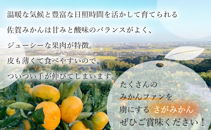 【期間限定】さがみかん （5代目みかん9.5kg）