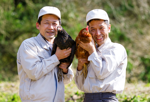 平飼い八雲鶏(やくもどり)　彩り天佑卵(てんゆうらん) 10個×3パック