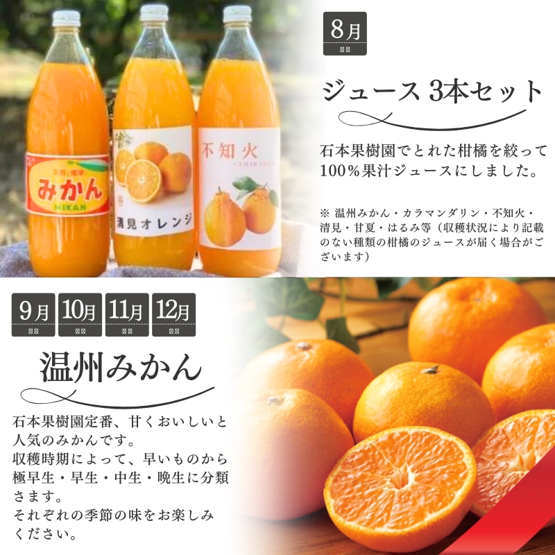 【全10回】 柑橘定期便 石本果樹園 店主おすすめの柑橘セットを毎月お届け！【tkb509】