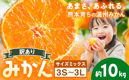 訳あり 温州みかん サイズミックス 3S ～ 3L 約10kg 日本フルーツ株式会社《10月中旬-2月下旬頃出荷》熊本県 荒尾市 みかん 温州みかん ミカン 蜜柑 柑橘類 訳あり ご家庭用 サイズ不揃い 果物 フルーツ