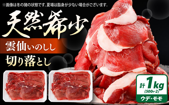 猪肉 切り落とし 1kg 雲仙いのしし モモ ウデ / 肉 イノシシ ジビエ いのしし 焼肉 ぼたん鍋 切り落とし / 南島原市 / 株式会社高田牧場 [SDB015]
