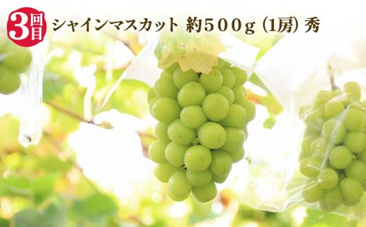 【2025年 先行予約】4回定期便 幸せを呼ぶ人気フルーツ6種便 さくらんぼ 桃 シャインマスカット ラ・フランス りんご 果物 くだもの 山形県 中山町 F4A-0487