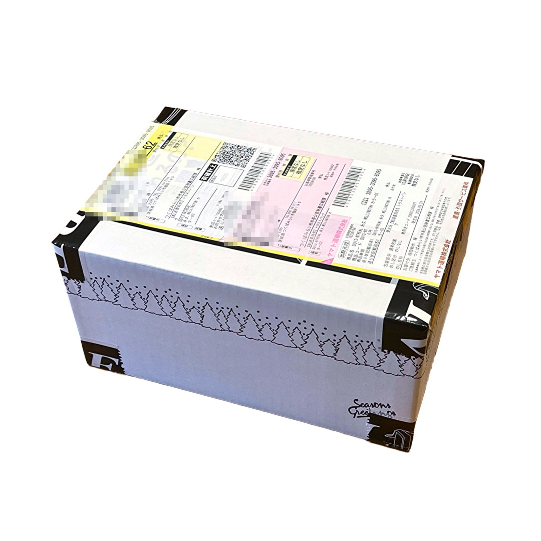 【 リアル メガネ タートル 】REAL 温故知新 弐拾九 カラー01 度無しブルーライトカットレンズ＆老眼レンズ対応 眼鏡 めがね メガネ メガネフレーム 国産 鯖江製 鯖江 ブルーライトカット 老