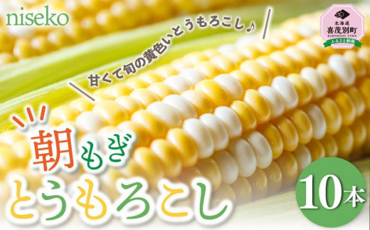 
【ニセコ町産】朝もぎとうもろこし10本入り　2024年発送【先行予約】
