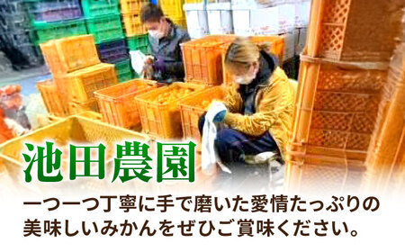 【先行予約】 温州みかん 3kg 極早生 早生 中生 晩生 みかん 【池田農園】[ZEX005]