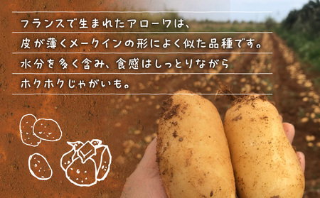 【 2025年 先行予約 】沖永良部島産 おいしい 赤土じゃがいも アローワ 3kg【1月下旬～5月下旬】W009-070u-01 じゃがいも ジャガイモ 野菜 根菜 イモ類 イモ ホクホク 沖永良部