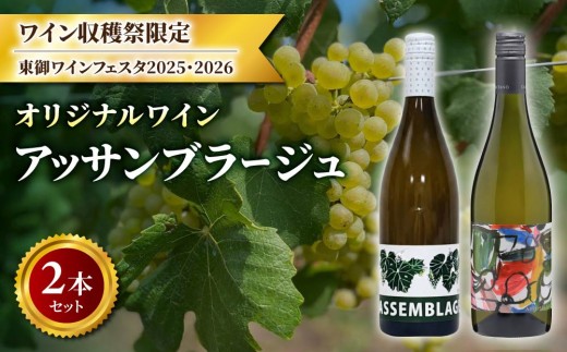 
                  【ワイン収穫祭限定！】「東御ワインフェスタ2025・2026」オリジナルワイン「アッサンブラージュ Assemblage」2本セット｜とうみワイン 長野ワイン 千曲川ワインバレー 国産 白ワイン
                