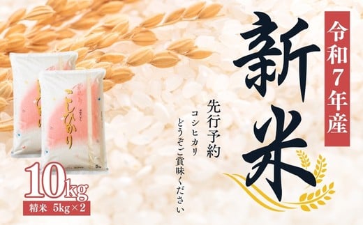 No.2381大文字屋米穀店【令和7年産新米　先行予約】 コシヒカリ精米 10kg（5kg×2）