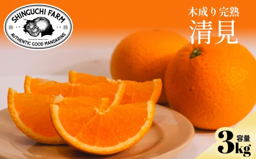 【先行受付】【産地直送】五代目が厳選した清見 3kg 愛媛県産【C70-71】【1615835】 YWTK070