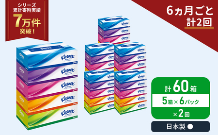 定期便 ティッシュ クリネックス 5箱入 × 6パック 《 6ヶ月ごと計  2回 》 ティッシュ セット