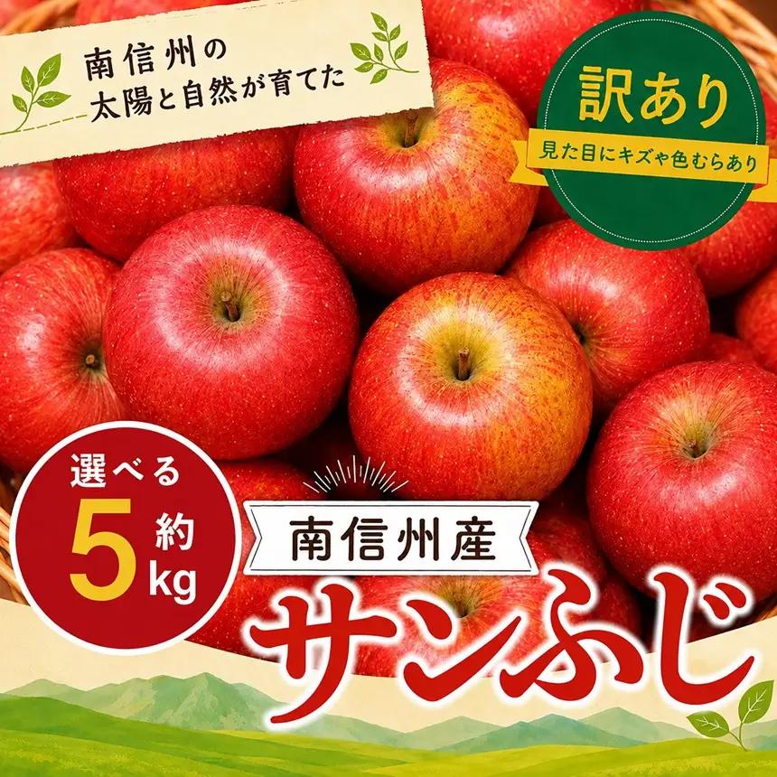 訳あり品 長野県産 サンふじ 約5kg ＜2027年1月上旬～2月上旬発送＞ | 長野県 飯田市