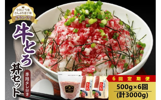 【6回定期便】人気の牛とろ丼セット 500g 専用タレ付き_S006-0070