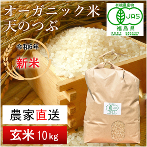 【令和5年産米】南相馬・根本有機農園のJAS有機米天のつぶ10kg（玄米）【30047】