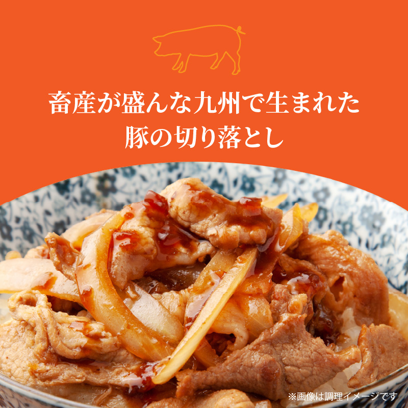 大容量でお届け！大分県産豚切り落とし3㎏_1789R