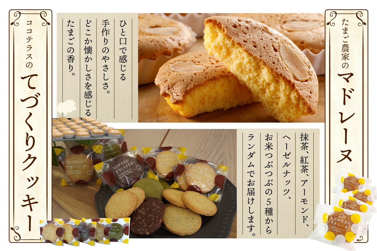 ３種類の焼き菓子の手土産セット｜ココテラス デイリーファーム セット カステラ マドレーヌ クッキー スイーツ お菓子 プレゼント 贈り物 ギフト ギフトセット お取り寄せ 愛知県 常滑市