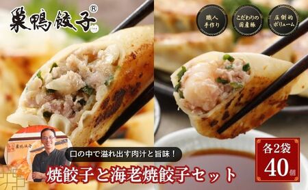 餃子セット 巣鴨餃子 焼餃子 海老焼餃子 食べ比べ 餃子セット【計40個 各2袋】【冷凍】