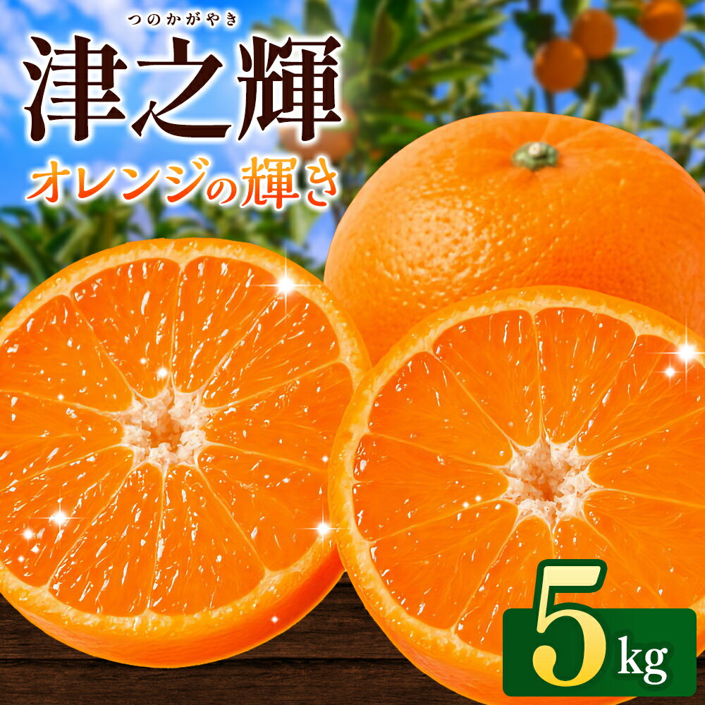 【ふるさと納税】 ＼先行予約／ 津の輝（つのかがやき）5kg（2027年2月以降順次発送予定） / みかん 津の輝 柑橘 かんきつ フルーツ 果物 紀州産 和歌山県 田辺市