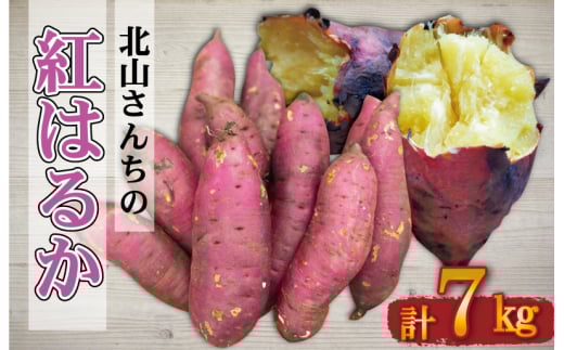 ★レビューキャンペーン対象★北山さんちのさつまいも 紅はるか 7kgさつまいも サツマイモ 薩摩芋 いも 芋 ほくほく 産地直送 新鮮 野菜 季節の野菜 旬 直送