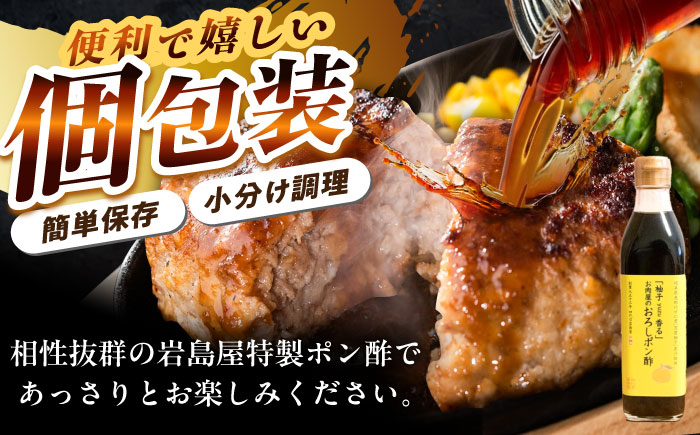 飛騨牛100% ハンバーグ4個 A5,A4ランク / 和牛 国産 惣菜 肉 にく 牛肉 国産 和牛 高級肉 霜降り 産地直送 贈答用 ギフト ブランド牛 岐阜県 希少部位 岐阜県産 人気 お取り寄せ 