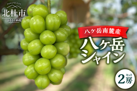 【2025年先行予約】八ケ岳南麓産「八ケ岳シャイン」シャインマスカット シャインマスカット 2025年 先行予約 2房 セット 約1kg 期間限定 数量限定 八ヶ岳シャイン 葡萄 ぶどう ブドウ シャイン マスカット フルーツ 果物 高品質 大粒 甘い 朝採り 山梨県 北杜市 八ヶ岳南麓