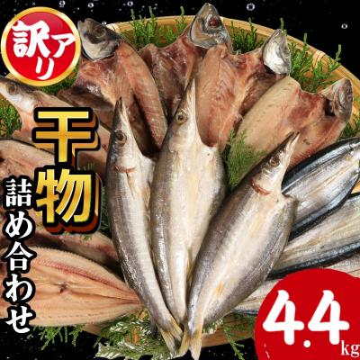 ふるさと納税 小松島市 訳あり 干物 約4.4kg 詰め合わせ ホッケ サンマ アジ カマス 和田島産 徳島県 小松島市