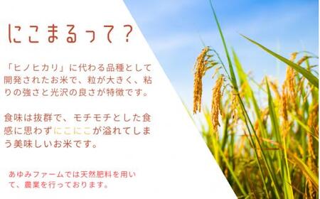 秘境の地からお届けする あゆみファームのお米 にこまる 5kg【2025年10月下旬以降順次発送】/ 米 お米 にこまる 5kg 精米 和歌山【aym013】