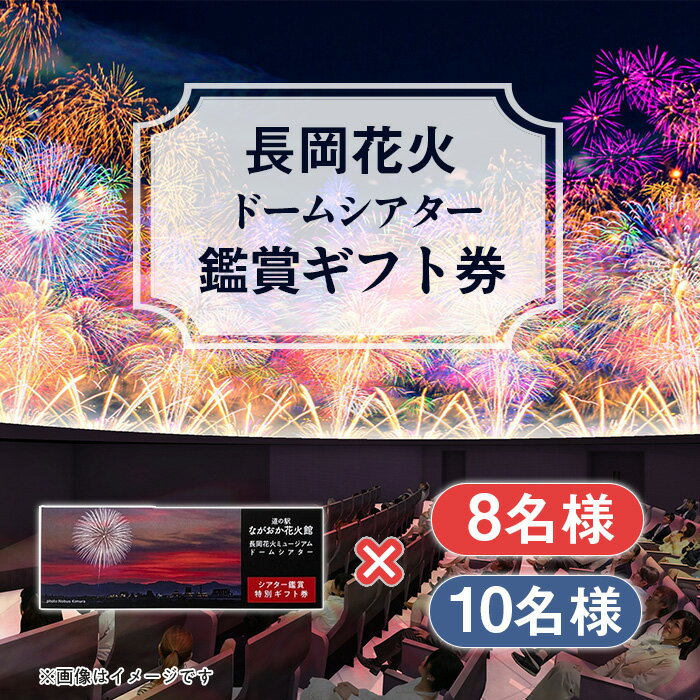 【ふるさと納税】長岡花火ミュージアム ドームシアター 鑑賞ギフト券 道の駅ながおか花火館