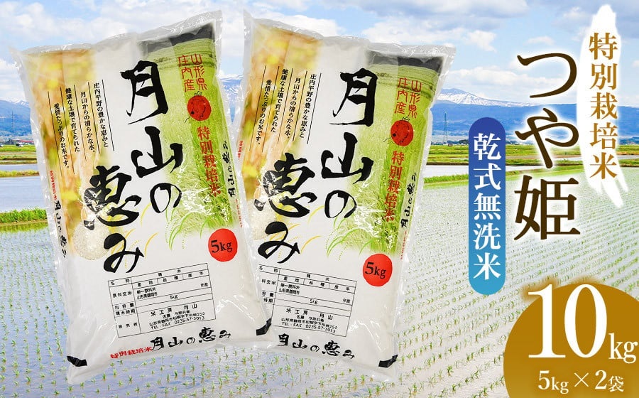 【令和6年産】特別栽培米 つや姫 乾式無洗米 10kg（5kg×2袋）山形県鶴岡市産　米工房 月山