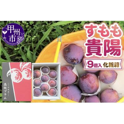 ふるさと納税 甲州市 童夢のすもも「貴陽」化粧箱 9個入り(約1.35〜1.7kg)【2026年発送】