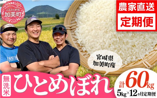 先行予約（2026年10月中旬～発送） 令和8年産【無洗米】【5kg×12回 計60kg】 米 宮城県産 ひとめぼれ 5kg 定期便  白米 精米 ご飯 ごはん コメ こめ お米 小分け 家庭用 結心ファーム [ 宮城県 加美町 ]