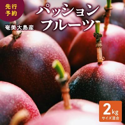 ふるさと納税 奄美市 【2026年先行予約】奄美大島産 パッションフルーツ 2kg(M.Lサイズ混合)
