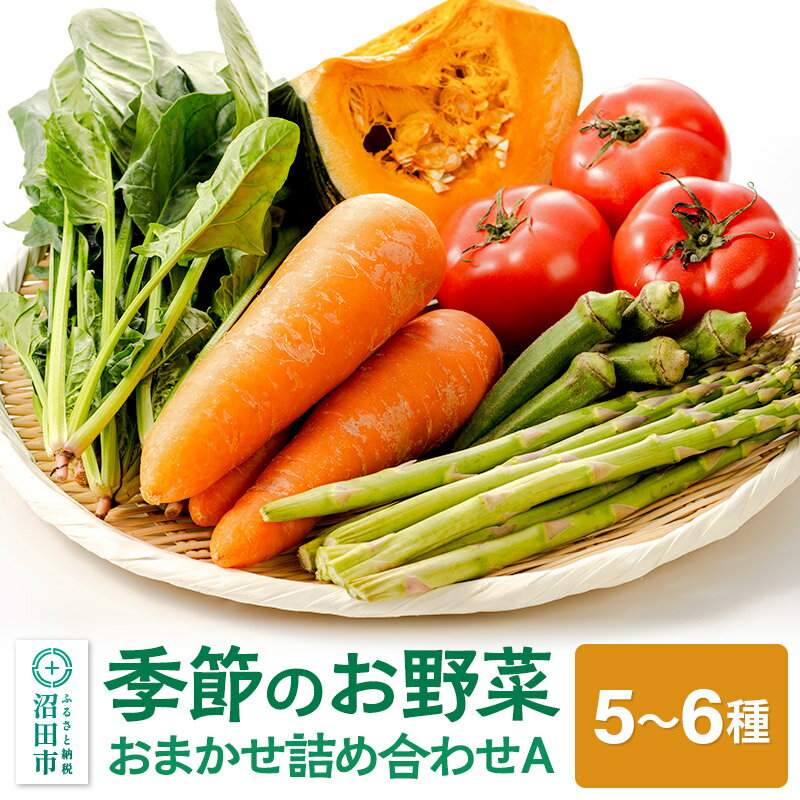【ふるさと納税】《5月上旬〜11月下旬発送》季節のお野菜 おまかせセット A（5〜6種類）詰め合わせ