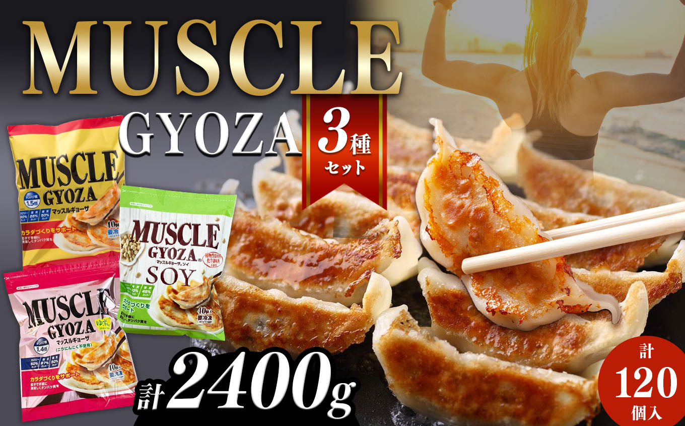 
【定期便3回】MUSCLE GYOZA ~マッスルギョーザ　～3種セット（40個入り袋×3） | 餃子 ギョーザ 高タンパク 低糖質 低脂質 低カロリー マッスルギョーザ 長野県 松本市 信州産
