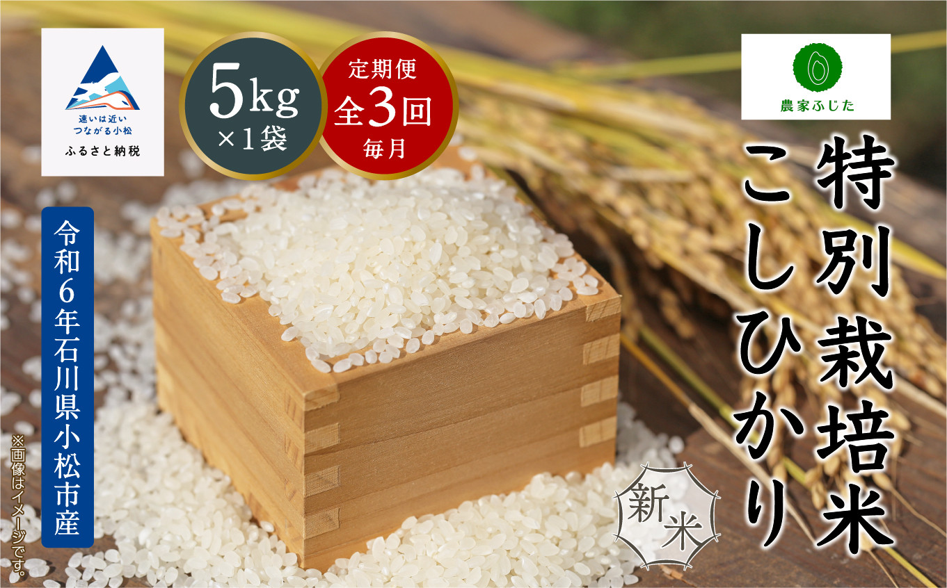 
コメ お米 コシヒカリ【定期便】農家ふじた 特別栽培米 こしひかり 精米 5kg×3回（毎月）
