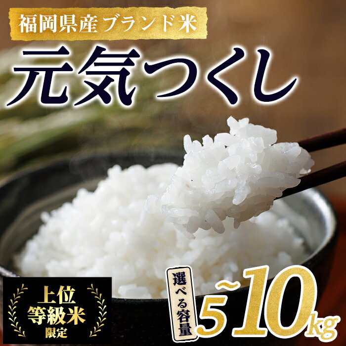 【ふるさと納税】＜先行予約受付中！2025年10月に順次発送予定・数量限定・容量が選べる＞JAよりお届け！福岡県産米 元気つくし (計5～10kg)お米 おこめ 米 こめ コメ 白米 福岡県産 ブランド米 常温 常温保存 【ksg1813・ksg1814】【農産物直売所ほたるの里】