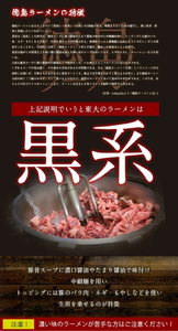 徳島ラーメン 5食 東大 ラーメン